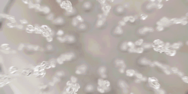 1562925968684108.png image.png