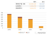 2019年度乘用车双积分的一些分析