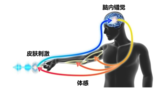 村田收购MIRAISENS公司研究“3D触力觉技术”