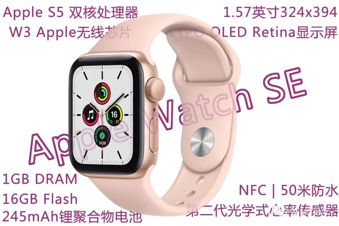 拆解：Apple Watch SE与S5有哪些差别？-电子工程世界