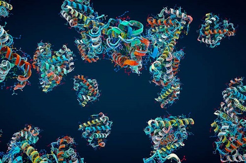 人工智能从头开始设计出灭菌蛋白，同样的方法有望用于新药研制