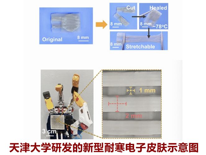  Super cold resistant electronic skin developed by Tianjin University: it can also be used at minus 78 ° C, self repairing and self-healing