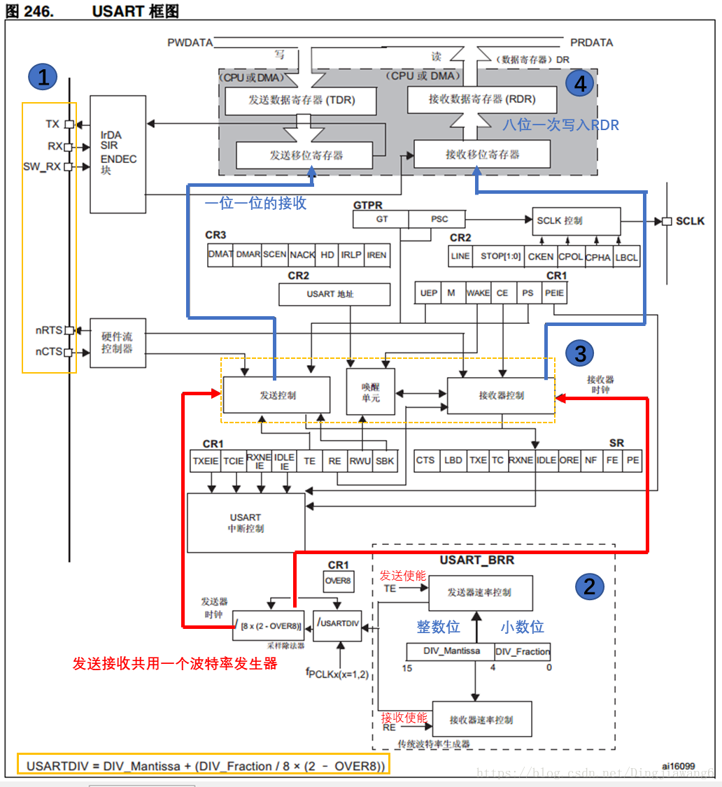 USART程序框圖